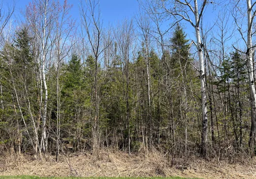 Land for Sale -  Route 220, Orford, J1X 8R8