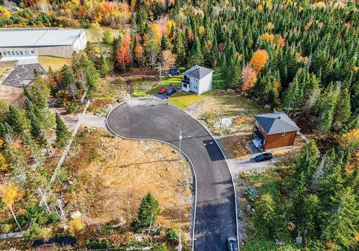 Terrain à vendre - 10 Rue des Carpates, Ste-Brigitte-De-Laval, G0A3K0