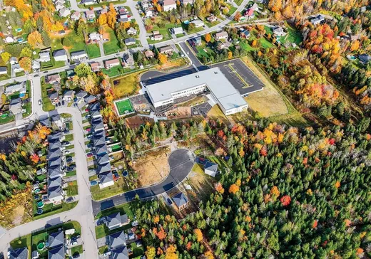 Terrain à vendre - 10 Rue des Carpates, Ste-Brigitte-De-Laval, G0A 3K0