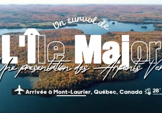 Terrain à vendre -  Ch. Tour-du-Lac-des-Îles, Mont-Laurier, J0W1J0
