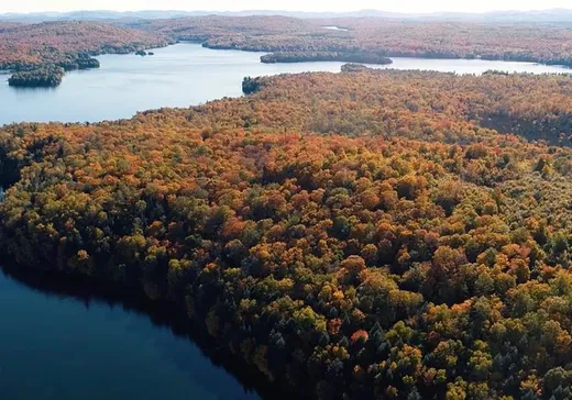 Terrain à vendre -  Ch. Tour-du-Lac-des-Îles, Mont-Laurier, J0W 1J0