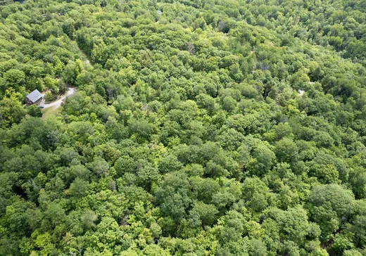 Terrain à vendre - 22 Ch. de l'Aigle, Val-des-Monts, J8N 6E6