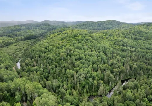 Terrain à vendre - 1548 Ch. Thomas S., Val-des-Monts, J0X 2L0