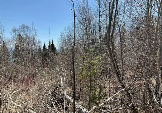 Land for Sale - 25 Rue des Anémones, Quebec City, G1T 1K0