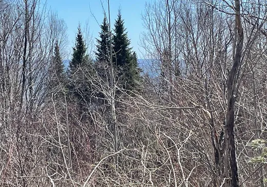 Terrain à vendre - 25 Rue des Anémones, Ville de Québec, G1T 1K0