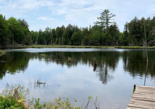 Land for Sale -  Ch. du Lac-de-la-Grange, Val Morin, J0T 2T0