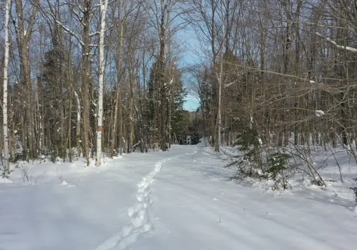 Land for Sale -  Ch. du Lac-de-la-Grange, Val Morin, J0T 2T0