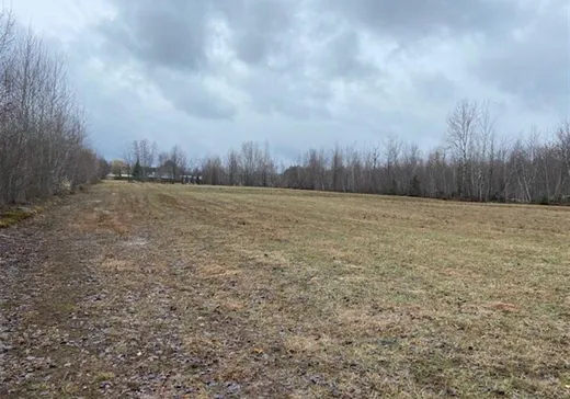 Terrain à vendre -  Rue Tessier, Sainte-Sophie-de-Lévrard, G0X3C0