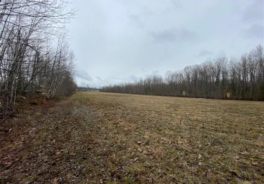 Terrain à vendre -  Rue Tessier, Sainte-Sophie-de-Lévrard, G0X 3C0