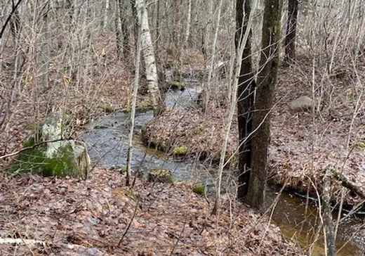 Terrain à vendre -  Rue Brunelle, Sainte-Sophie-de-Lévrard, G0X 3C0