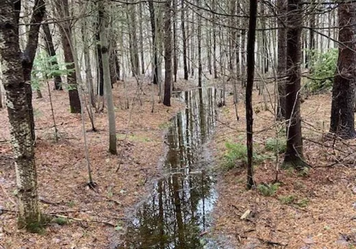 Terrain à vendre -  Rue Brunelle, Sainte-Sophie-de-Lévrard, G0X 3C0