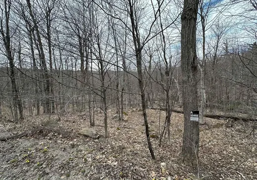 Land for sale -  Ch. Janitens, Brownsburg-Chatham, J8G1B9
