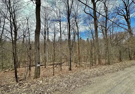 Terrain à vendre -  Ch. Janitens, Brownsburg-Chatham, J8G 1B9