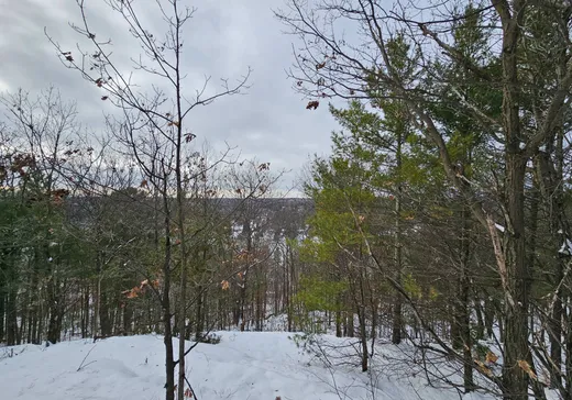 Terrain à vendre -  Rue des Druides, Saint-Calixte, J0K 1Z0