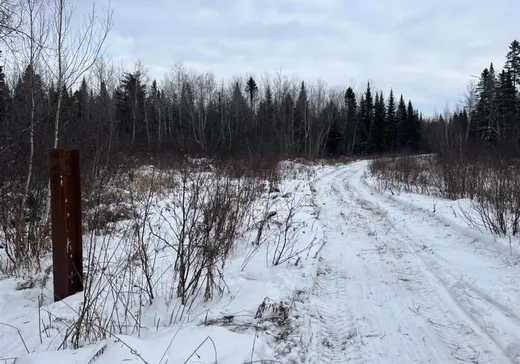 Land for sale -  10e Rang, Lac-Drolet, G0Y1C0