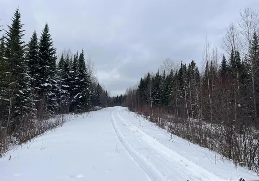 Land for Sale -  10e Rang, Lac-Drolet, G0Y 1C0