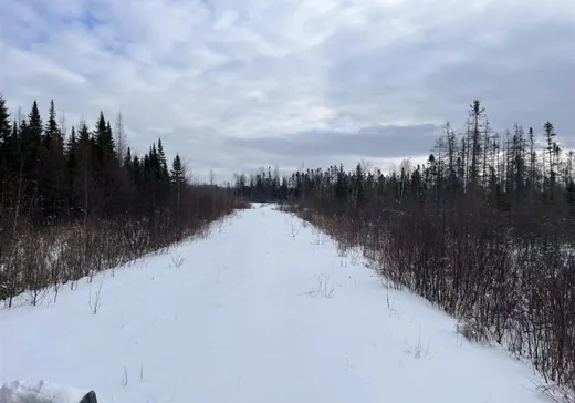 Land for Sale -  10e Rang, Lac-Drolet, G0Y 1C0