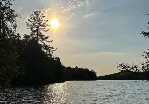 Terrain à vendre -  Ch. du Lac-Earl O., Sainte-Agathe-des-Monts, J8C2Z7