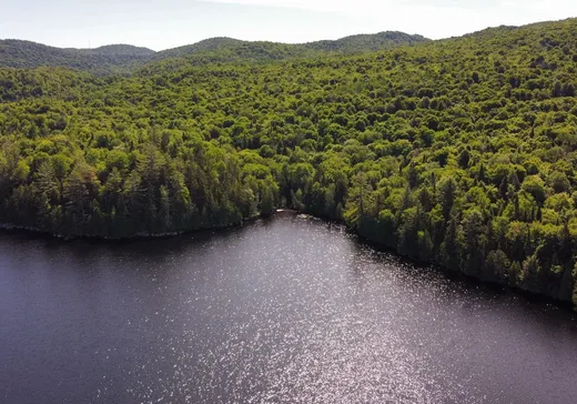 Land for Sale -  Ch. du Lac-Earl O., Sainte-Agathe-des-Monts, J8C 2Z7