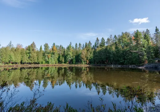 Terrain à vendre -  Route du Club-des-Raquetteurs, Pont-Rouge, G5N 5Y1
