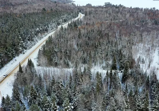 Terrain à vendre -  Ch. des Merisiers, Nominingue, J0W 1R0