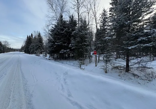 Land for Sale -  Ch. des Merisiers, Nominingue, J0W 1R0