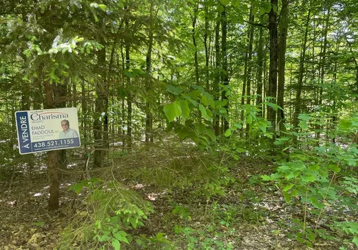 Land for sale -  Rue du Lac-Martinez, Brownsburg-Chatham, J8G3C4