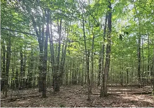 Land for Sale -  Rue de la Passade, Saint-Lazare, J7T 2M9