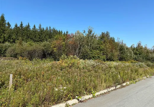 Terrain à vendre - 989 Rue Tanguay, St-Philemon, G0R4A0