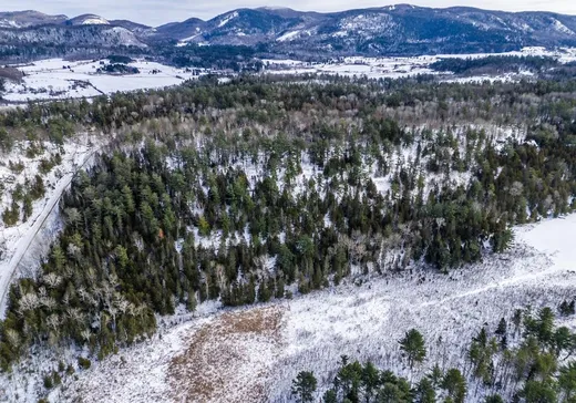 Terrain à vendre -  Ch. du Cerf, Gatineau, J0X 1Z0