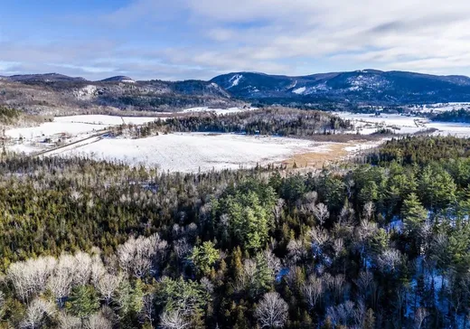 Terrain à vendre - 61 Mtée du Lac, Gatineau, J0X1Z0