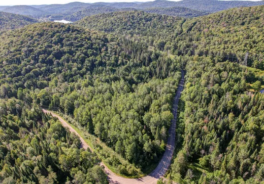 Land for sale -  Ch. du Lac-Rougeaud, Mont-Tremblant, J0T1J2