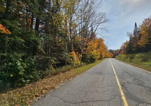 Terrain à vendre -  Ch. du Lac-Rougeaud, Mont-Tremblant, J0T 1J2