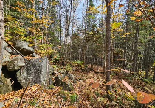 Land for Sale -  Ch. du Lac-Rougeaud, Mont-Tremblant, J0T 1J2