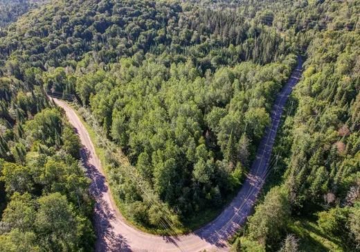 Terrain à vendre -  Ch. du Lac-Rougeaud, Mont-Tremblant, J0T 1J2
