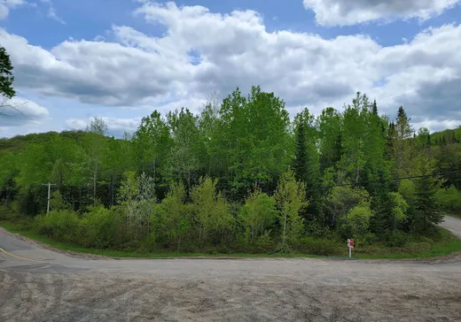 Terrain à vendre -  Ch. du Lac-Rougeaud, Mont-Tremblant, J0T 1J2