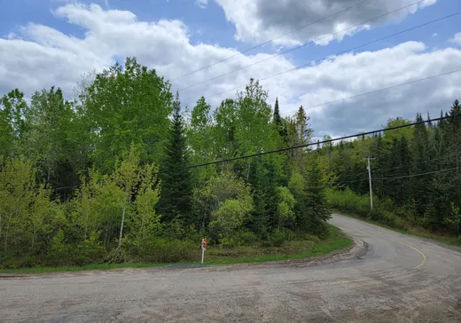 Terrain à vendre -  Ch. du Lac-Rougeaud, Mont-Tremblant, J0T 1J2