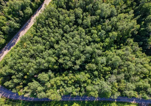 Terrain à vendre -  Ch. du Lac-Rougeaud, Mont-Tremblant, J0T1J2