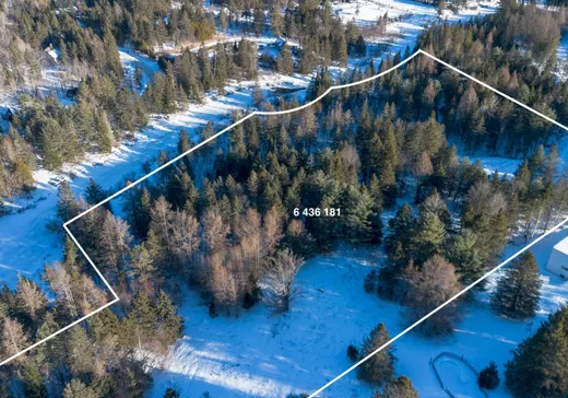 Terrain à vendre -  Ch. des Basques, Saint-Sauveur, J0R1R7
