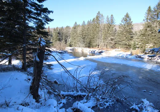 Land for Sale -  Ch. des Basques, Saint-Sauveur, J0R 1R7