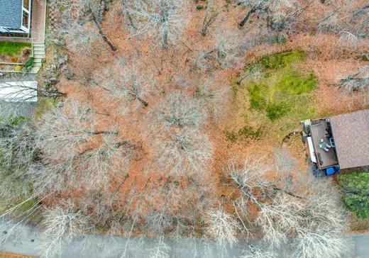 Terrain à vendre -  Rue du Mont-Rainer, Sainte-Agathe-des-Monts, J8C 2Z7