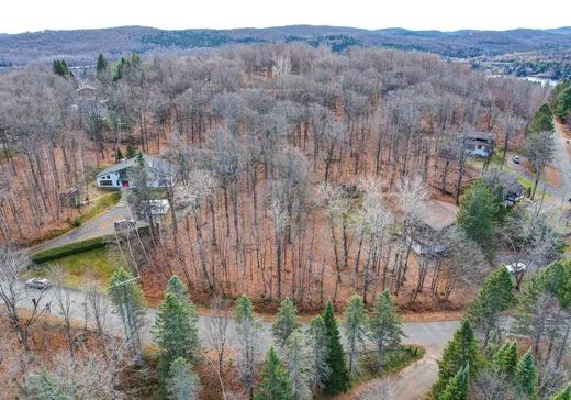 Terrain à vendre -  Rue du Mont-Rainer, Sainte-Agathe-des-Monts, J8C 2Z7