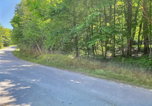 Terrain à vendre -  Rue du Mont-Rainer, Sainte-Agathe-des-Monts, J8C 2Z7