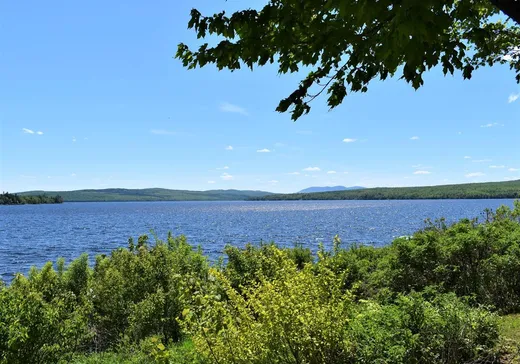 Terrain à vendre -  Boul. des Vétérans, Lac-Mégantic, G6B 2G7