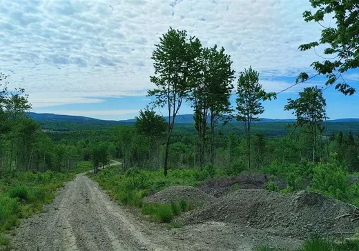 Land for sale -  Rue Principale E., Sainte-Euphémie, G0R2Z0