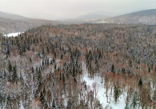 Terrain à vendre -  Ch. de la Vallée, Lac-Beauport, G3B1H8