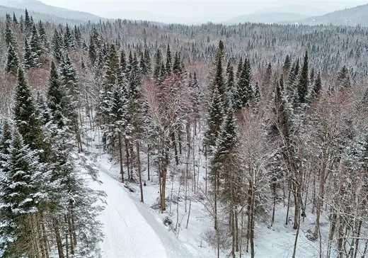 Terrain à vendre -  Ch. de la Vallée, Lac-Beauport, G3B 1H8