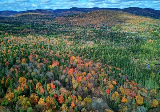 Terrain à vendre -  Ch. de la Vallée, Lac-Beauport, G3B 1H8