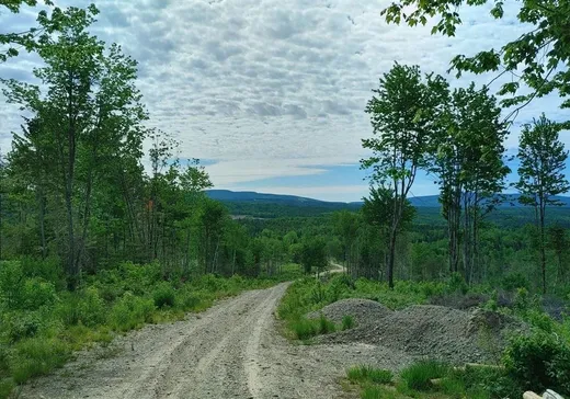 Land for sale -  Rue Principale E., Sainte-Euphémie, G0R2Z0