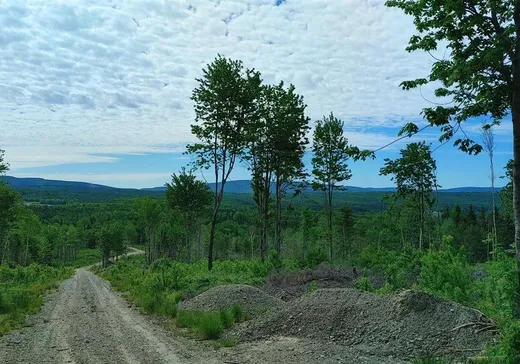 Land for Sale -  Rue Principale E., Sainte-Euphémie, G0R 2Z0